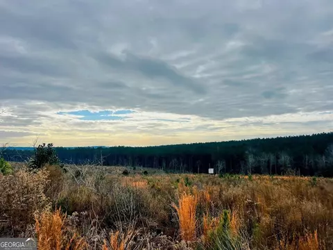 0 County Road 309 #TRACT A, Skipperville, AL 36374