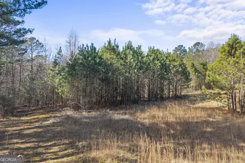 0 H D Atha Rd, Covington, GA 30014 photo 4