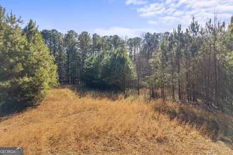 0 H D Atha Rd, Covington, GA 30014 photo 3