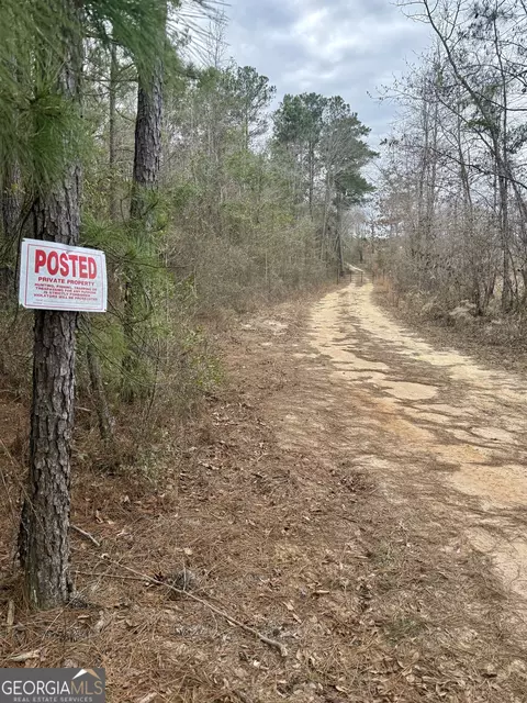0 Davis Rd, Dudley, GA 31022