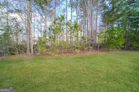 80 Knolls Rdg, Hampton, GA 30228 photo 25