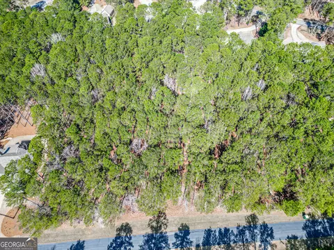 1051 Big Water Pt, Greensboro, GA 30642