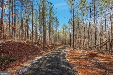 6 651 Acres On Orlando Path, Dallas, GA 30157