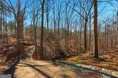 6 731 Acres On Pete Path, Dallas, GA 30157
