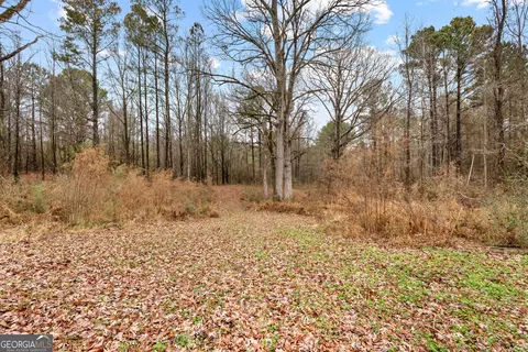 Other - 1330 Dunn Rd, Molena, GA 30258 photo 12 of 14