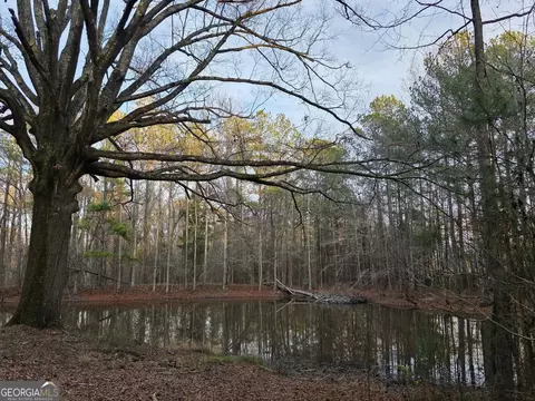 View/Area - 1330 Dunn Rd, Molena, GA 30258 photo 11 of 11
