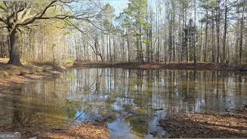 View/Area - 1330 Dunn Rd, Molena, GA 30258 photo 6 of 11