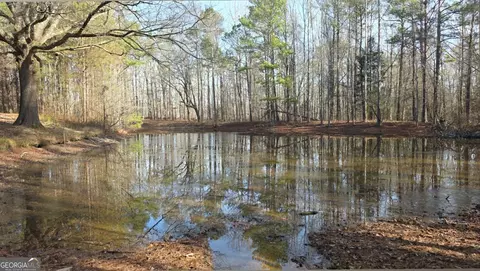 View/Area - 1330 Dunn Rd, Molena, GA 30258 photo 9 of 11