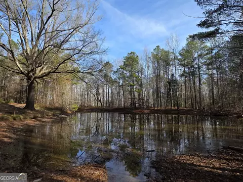 View/Area - 1330 Dunn Rd, Molena, GA 30258 photo 10 of 11