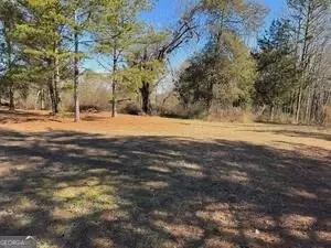841 Hwy 17, Toccoa, GA 30577 photo 5