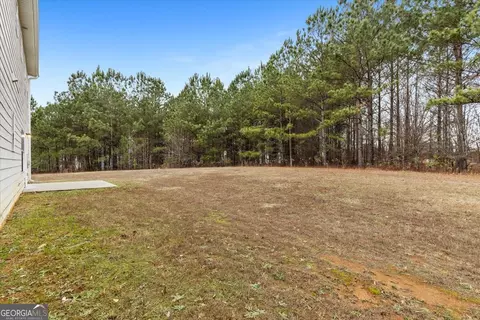 Exterior - 269 Makenna Dr, Hampton, GA 30228 photo 11 of 11