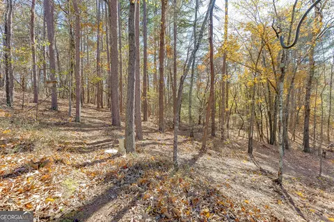 6360 Nix Rd, Dawsonville, GA 30534