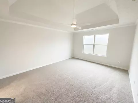 Other - 736 Tullamore Way, Hampton, GA 30228 photo 1 of 4