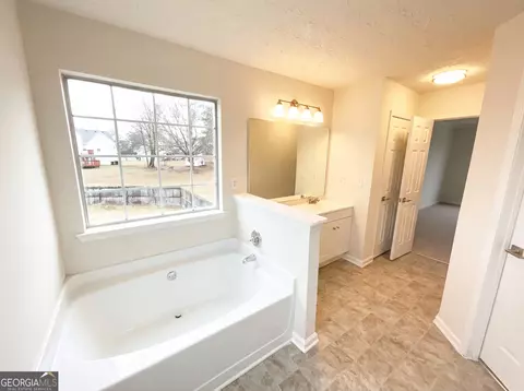 Bath - 736 Tullamore Way, Hampton, GA 30228 photo 5 of 6