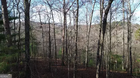 865 Bolster Ln, Ranger, GA 30734