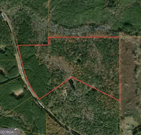 0 Forrest Rd, Hogansville, GA 30230