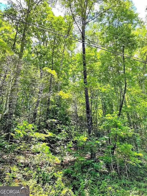 0 Blue Ridge Gap Rd, Rabun Gap, GA 30568