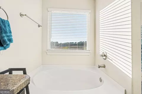 Bath - 11140 Cornerstone Ln, Hampton, GA 30228 photo 3 of 4