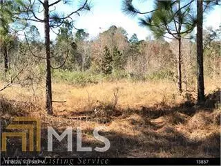 0 Bill Glenn Rd Off Highway 56, Swainsboro, GA 30401