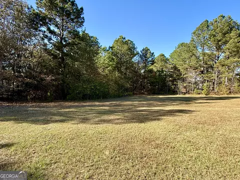Exterior - 10199 Ga Highway 296, Stapleton, GA 30823 photo 7 of 8