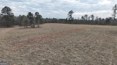 5257 Blume Rd, Mitchell, GA 30820 photo 8