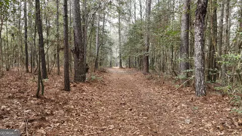 5257 Blume Rd, Mitchell, GA 30820 photo 9
