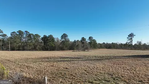5257 Blume Rd, Mitchell, GA 30820 photo 2