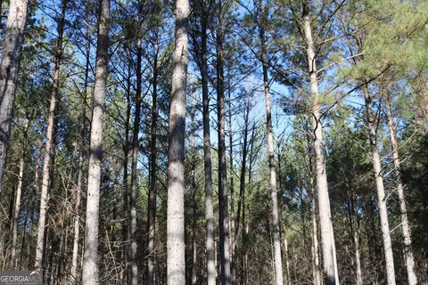 0 Iron Hl, Taylorsville, GA 30178