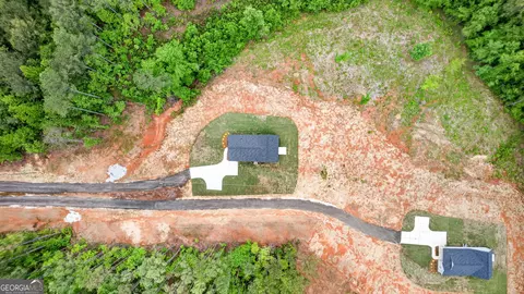 View/Area - 205 Riverview Rd #LOT 16B, Franklin, GA 30217 photo 3 of 4
