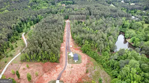 View/Area - 205 Riverview Rd #LOT 16B, Franklin, GA 30217 photo 4 of 4