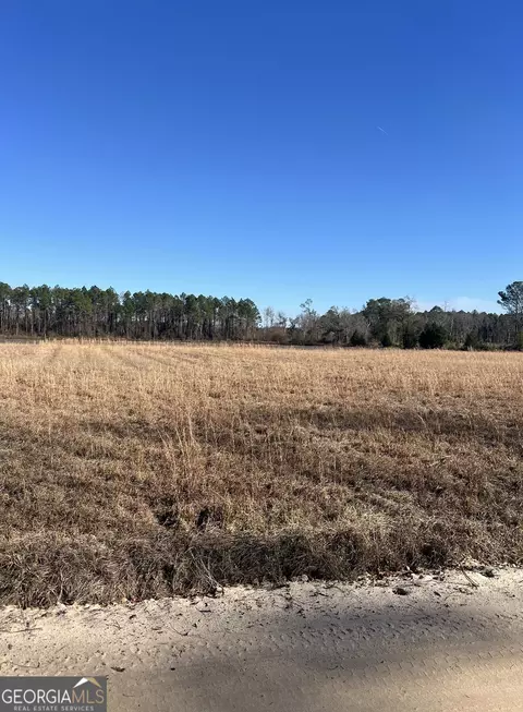 Tract 2 Little Hurricane Creek Road, Waycross, GA 31503