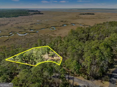 lot138 Sapelo Cir, Townsend, GA 31331
