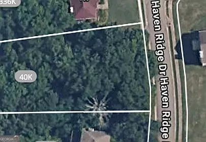 113 Haven Ridge Dr, Mcdonough, GA 30253