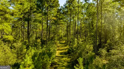 0 Bay Branch Rd, Claxton, GA 30417 photo 5