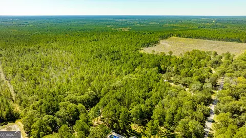 0 Bay Branch Rd, Claxton, GA 30417 photo 36