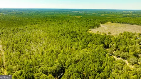 0 Bay Branch Rd, Claxton, GA 30417 photo 19