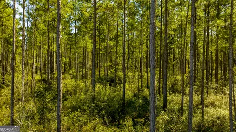 0 Bay Branch Rd, Claxton, GA 30417 photo 3