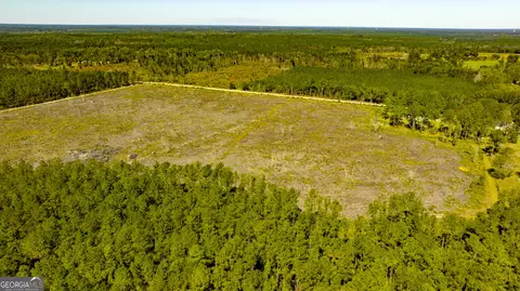 0 Bay Branch Rd, Claxton, GA 30417 photo 34