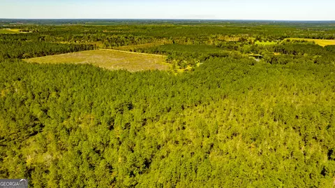 0 Bay Branch Rd, Claxton, GA 30417 photo 10