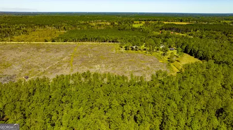 0 Bay Branch Rd, Claxton, GA 30417 photo 26