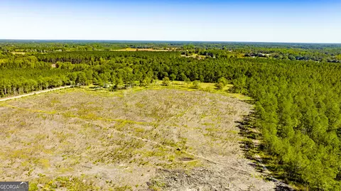 0 Bay Branch Rd, Claxton, GA 30417 photo 39