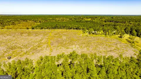 0 Bay Branch Rd, Claxton, GA 30417 photo 12