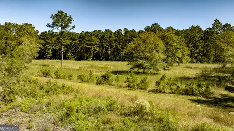 0 Bay Branch Rd, Claxton, GA 30417 photo 47