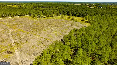 0 Bay Branch Rd, Claxton, GA 30417 photo 35