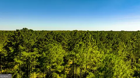 0 Bay Branch Rd, Claxton, GA 30417 photo 30
