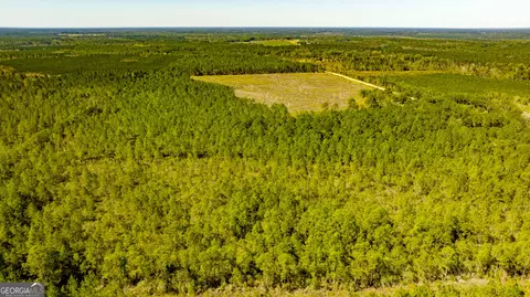 0 Bay Branch Rd, Claxton, GA 30417 photo 27