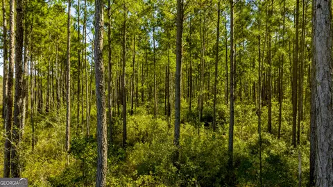 0 Bay Branch Rd, Claxton, GA 30417 photo 46