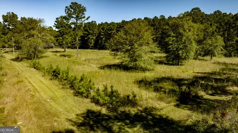 0 Bay Branch Rd, Claxton, GA 30417 photo 31
