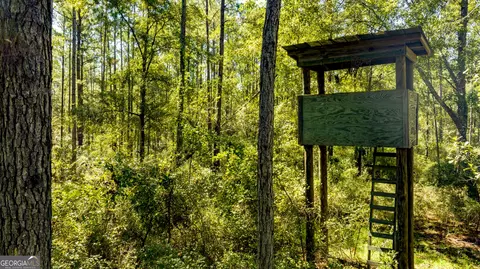0 Bay Branch Rd, Claxton, GA 30417 photo 44