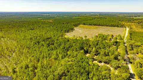 0 Bay Branch Rd, Claxton, GA 30417 photo 37